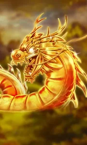 Angry Dragons