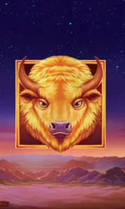 Buffalo's Sun 2